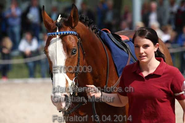 ET0Q0009 prot